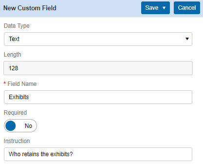 new custom field